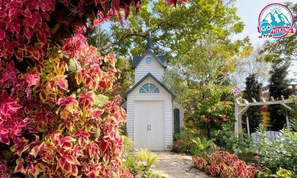 荔枝角公園|打卡靚景推介!鬧市中童話小屋 湖畔落羽松