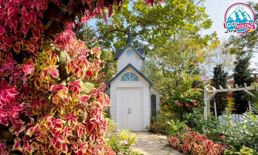 荔枝角公園|打卡靚景推介!鬧市中童話小屋 湖畔落羽松