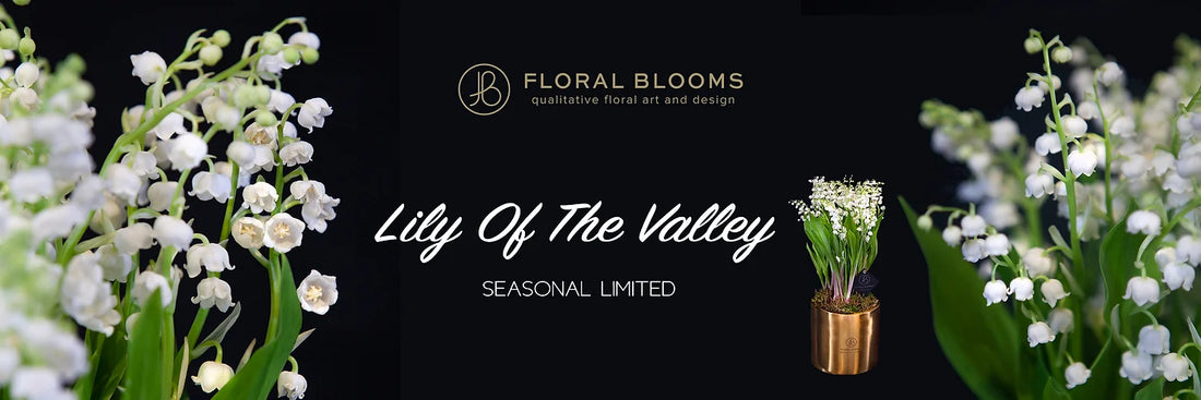 【Seasonal Limited】Lily Of The Valley 鈴蘭盆栽