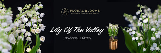 【Seasonal Limited】Lily Of The Valley 鈴蘭盆栽
