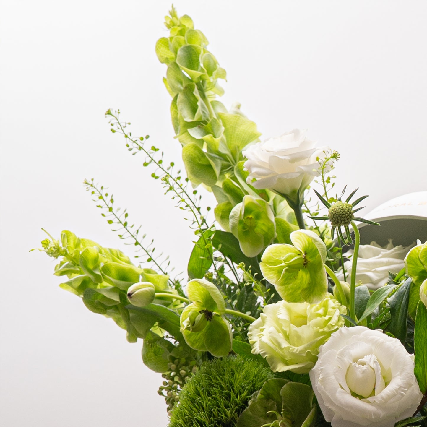 Verdant Bliss
