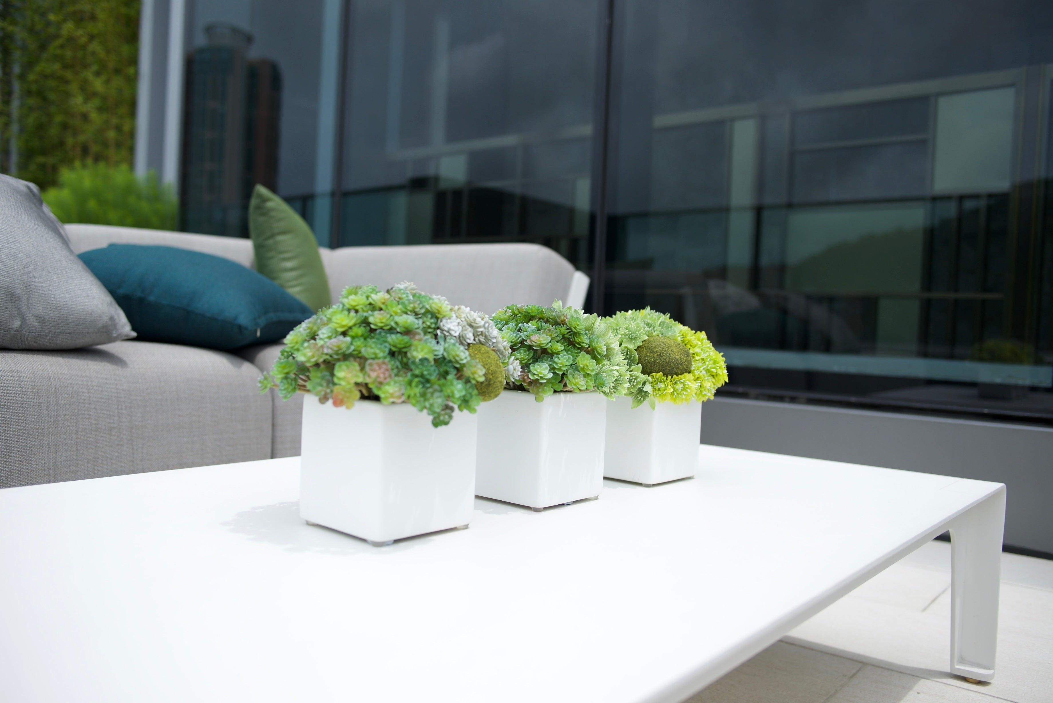 Novum West Clubhouse