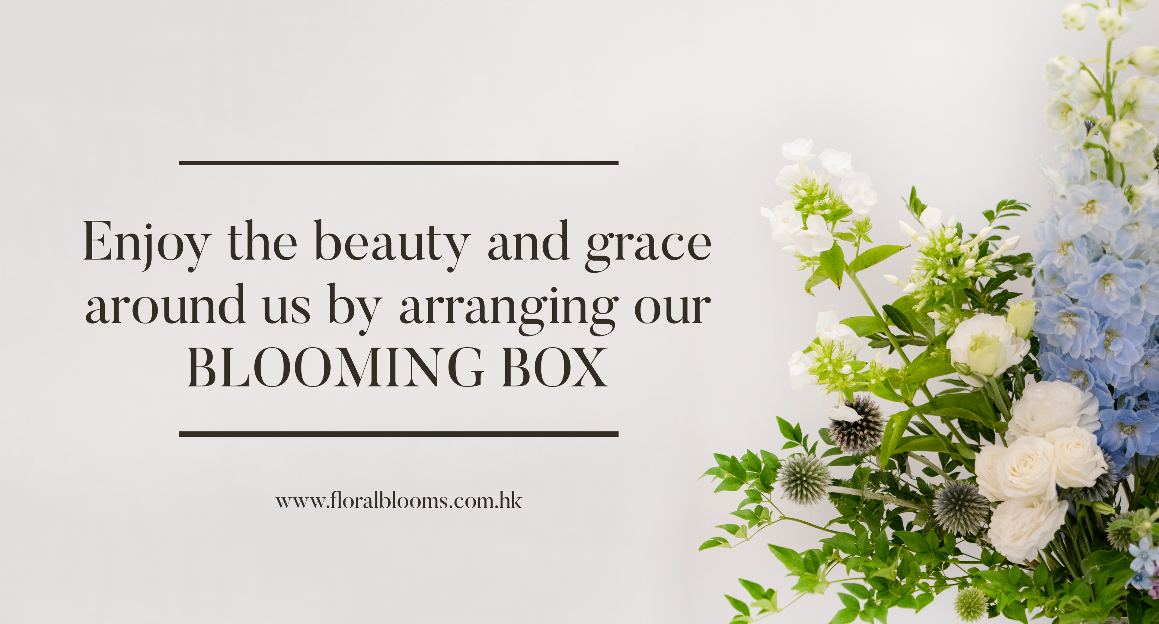 Blooming Box