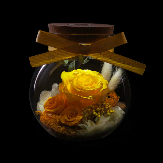 Bloom in the Moonlight