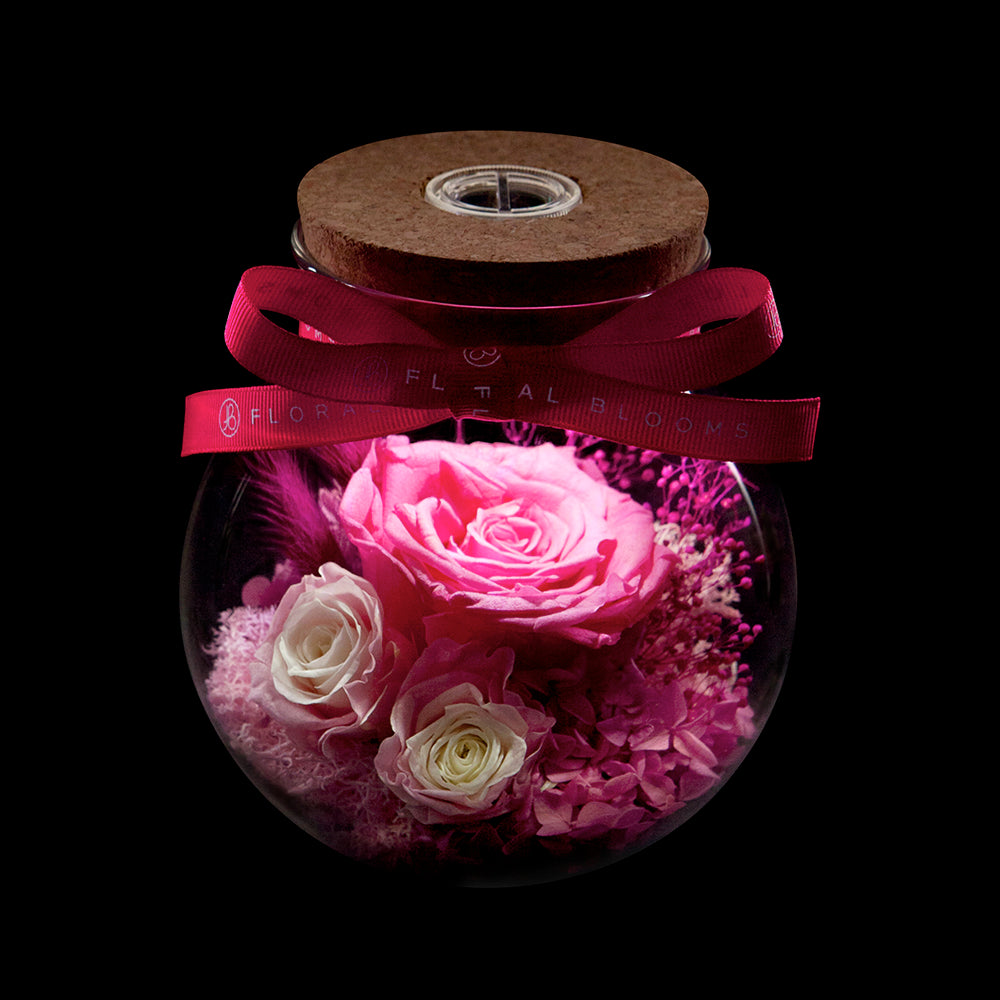 Bloom in the Moonlight