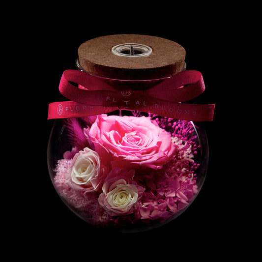 Bloom in the Moonlight