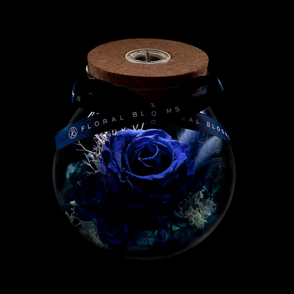 Bloom in the Moonlight