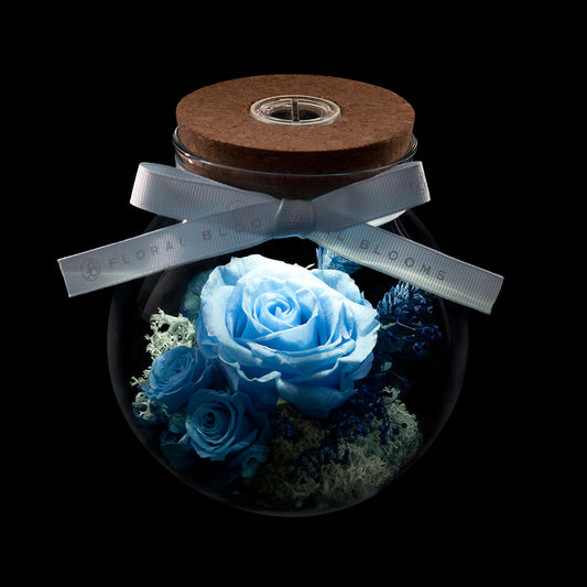 Bloom in the Moonlight