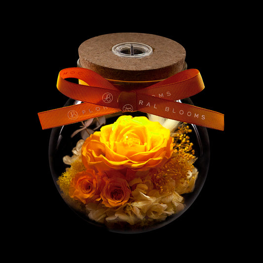 Bloom in the Moonlight