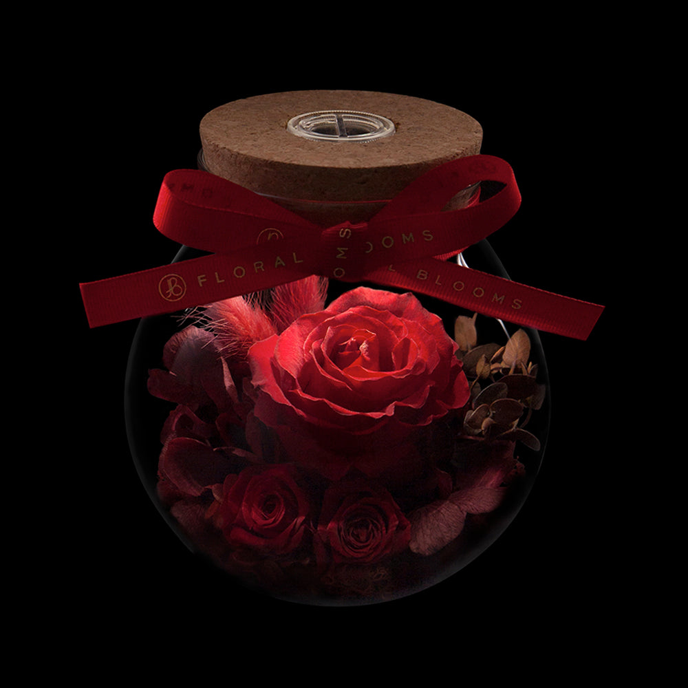 Bloom in the Moonlight