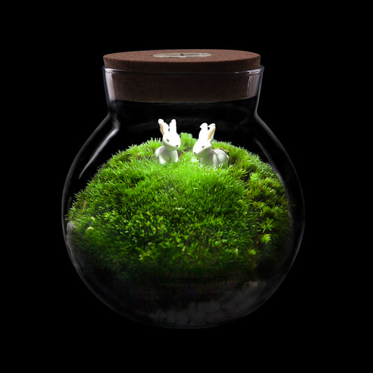 Flower Arrangement