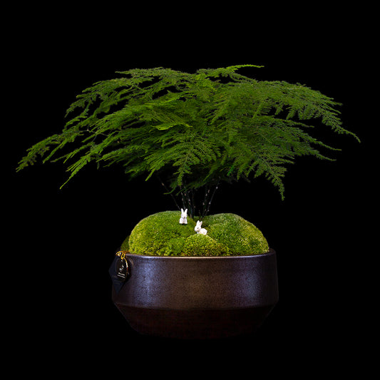 Flower Arrangement