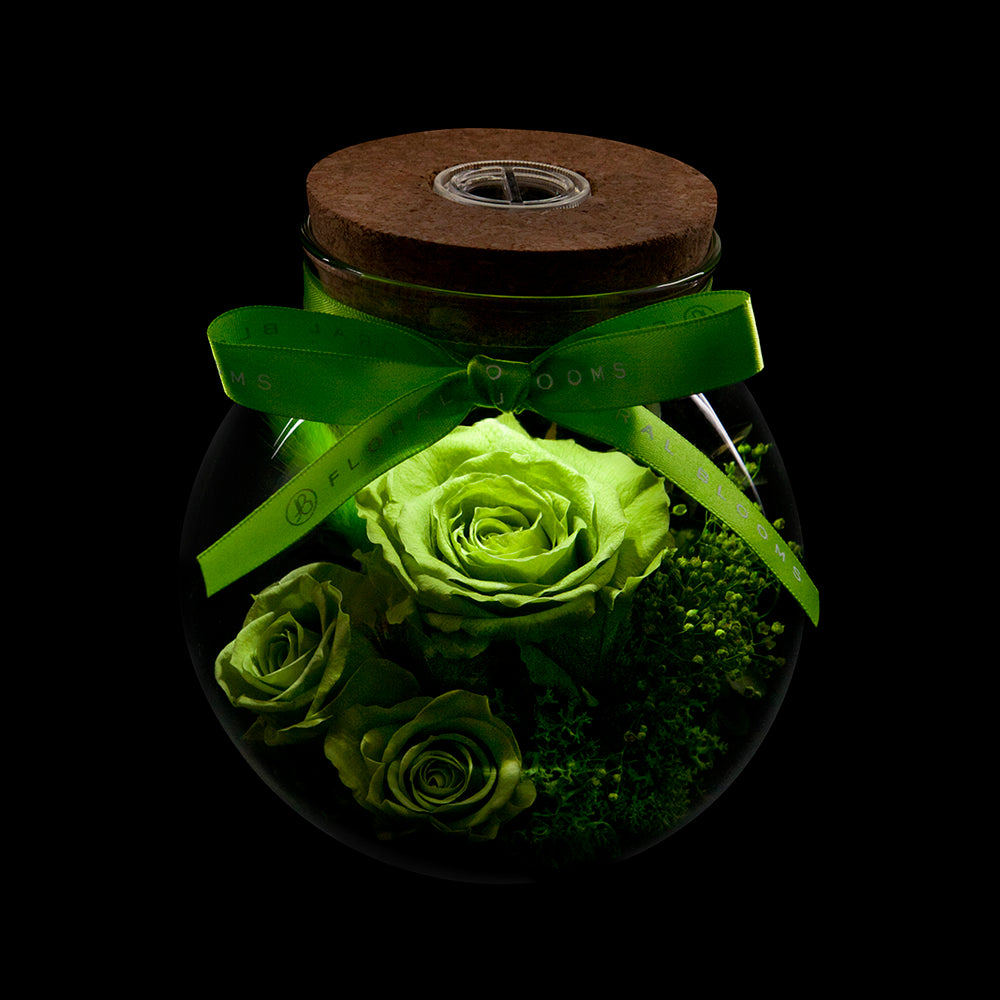 Bloom in the Moonlight