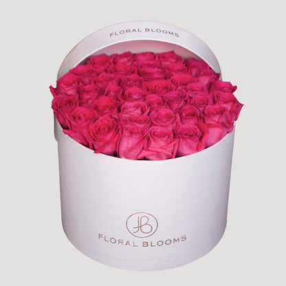 Infinity - Rose (12Ø)