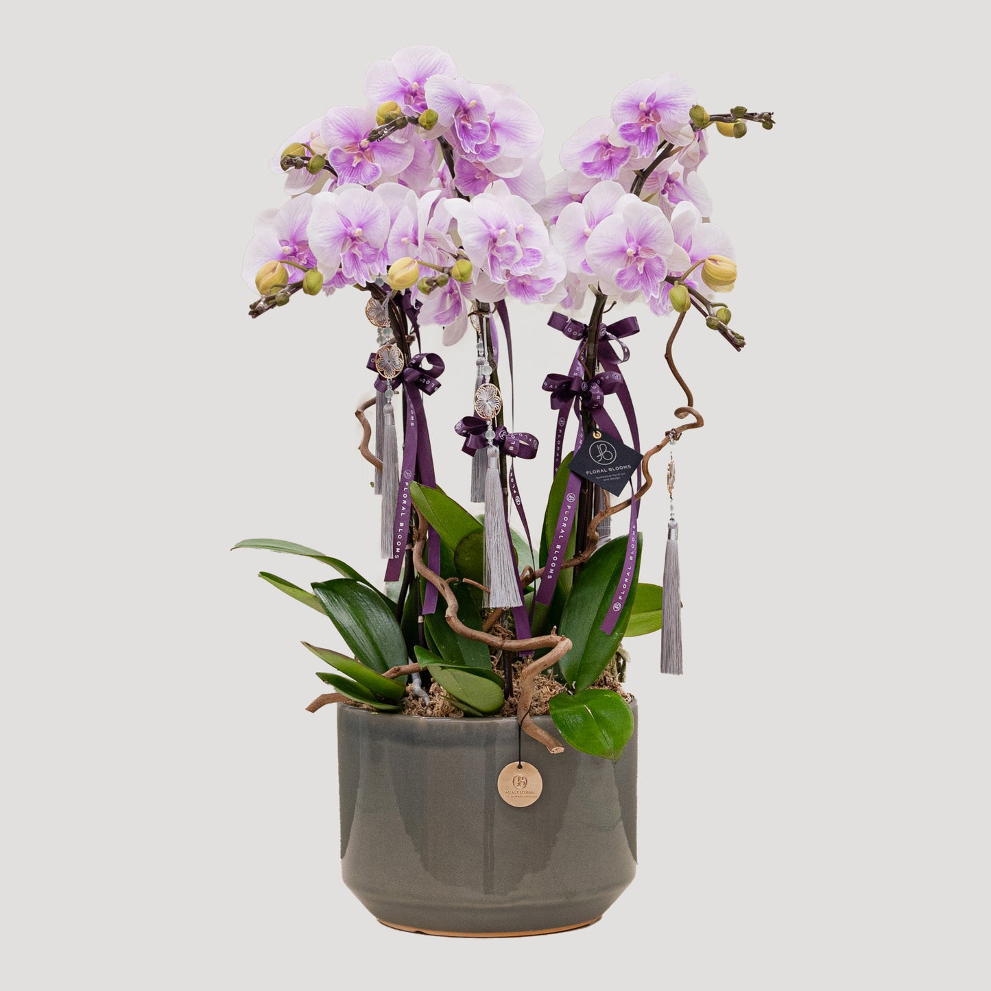 CNY2504 - 蘭花Orchid 6 stem