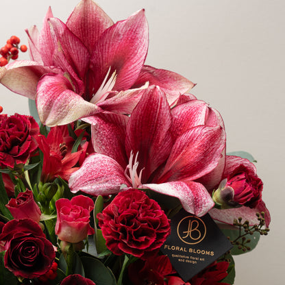 [XMAS2502] Silent Spark - Christmas Arrangement